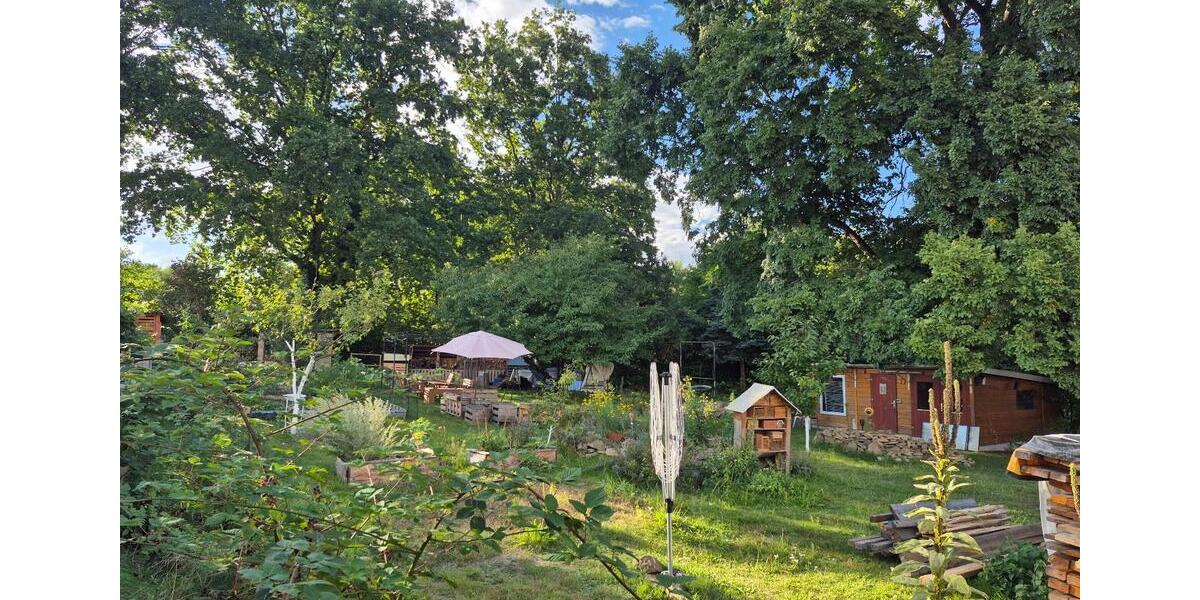 Doppelhaushälfte Ottendorf-Okrilla Okrilla - 3 Zimmer, 84 m&sup2;, 350.000&euro; | Angebot:26858169