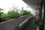 4,5 Raum Wohnung, 6. OG mit Alpenblick direkt vom Eigentümer