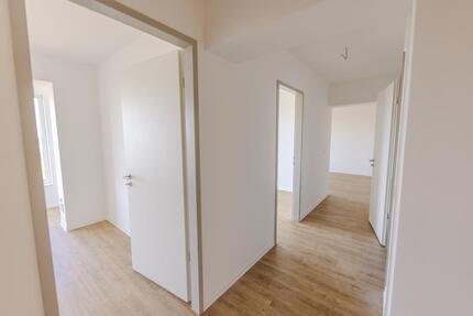 Wohnung Cottbus Sachsendorf - 3 Zimmer, 69 m&sup2;, 1.108&euro; | Angebot:26163996