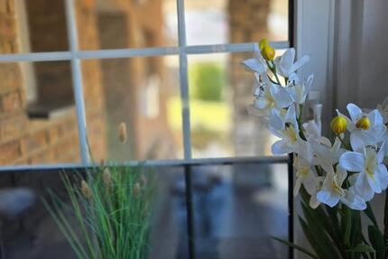 Ferienimmobilie Köln Rodenkirchen - 78&euro; | Angebot:25917359