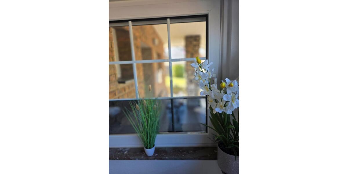 Ferienimmobilie Köln Rodenkirchen - 78&euro; | Angebot:25917359