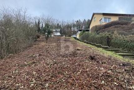 TOP LAGE + PREIS, 2 GRUNDSTÜCKE,EINZELVERKAUF - Grundstück Lieser | Angebot:25258018