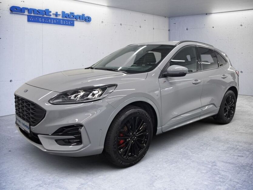 Kuga