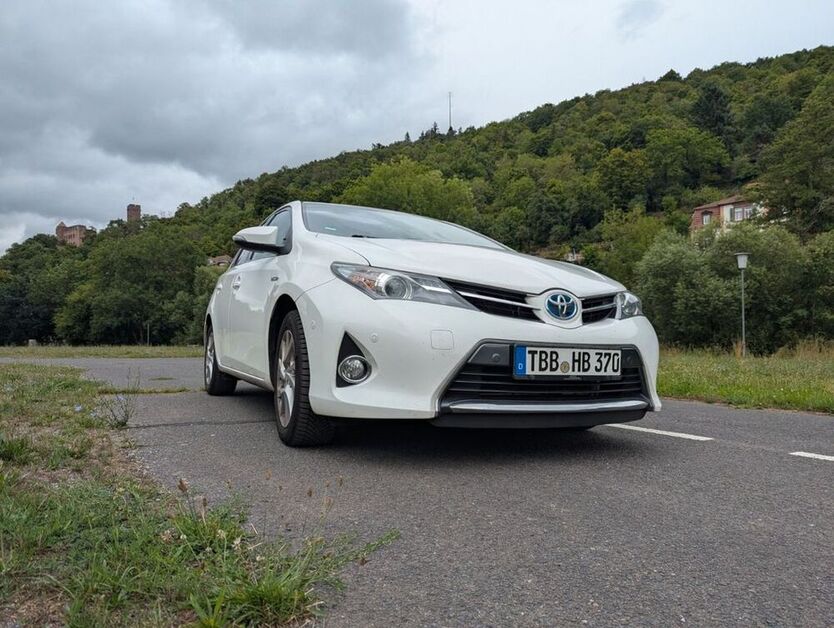 Auris