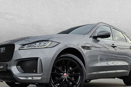 Jaguar F-Pace 41.700 km 32.750 € Greding 91171