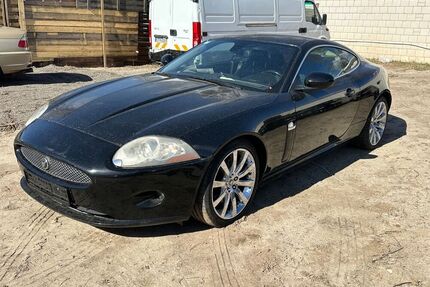 Jaguar XK