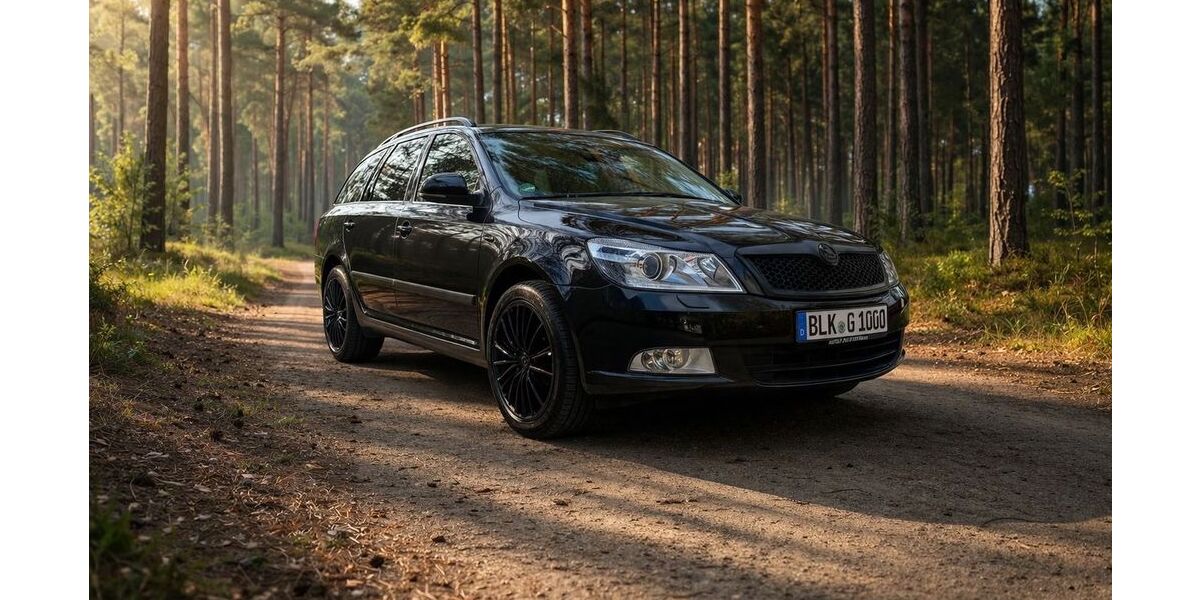 Skoda Octavia 212.000 km 6.500 &euro; Leipzig 04209