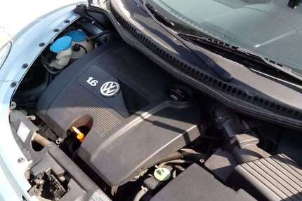 VW New Beetle