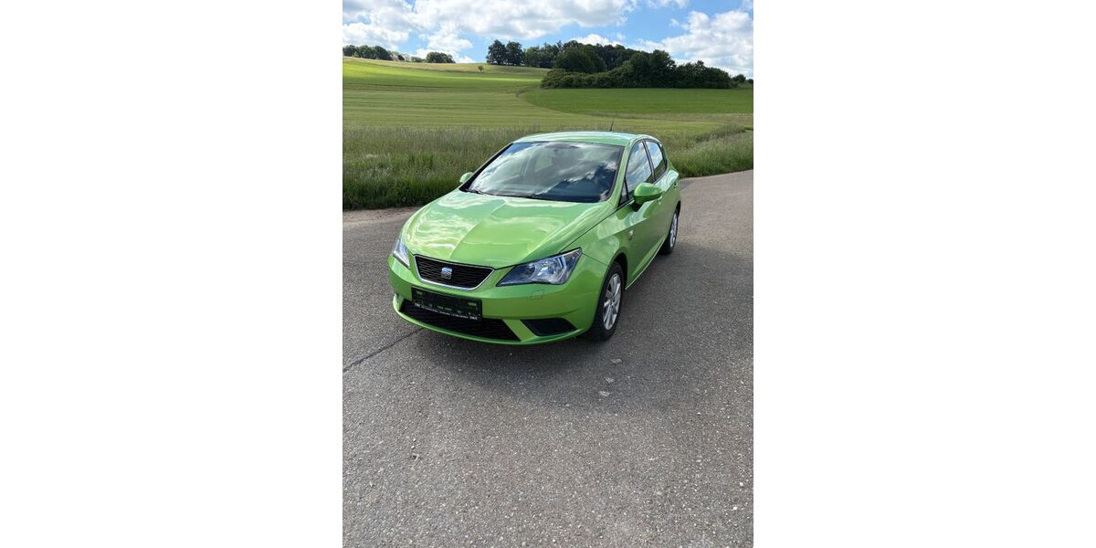 Seat Ibiza 133.143 km 4.200 &euro; Donnstetten 72587