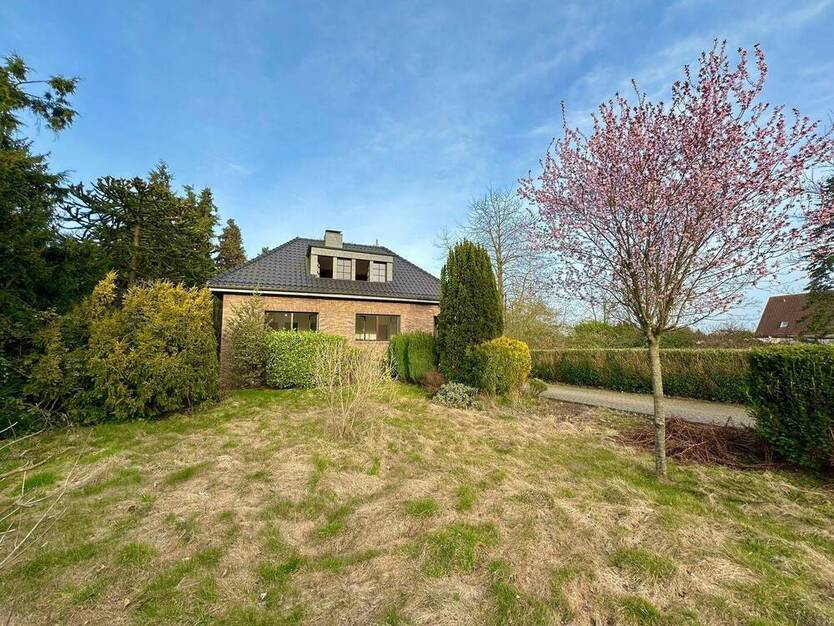 Absolute Privatsphäre, 5 Min. bis Moers! XL Süd-West-Garten auf 165 m2, 4,5 Z., 1824 m2 Grundstück.