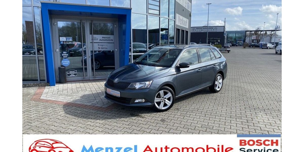 Skoda Fabia 102.299 km 7.990 &euro; Schüttorf 48465