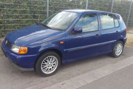 VW Polo