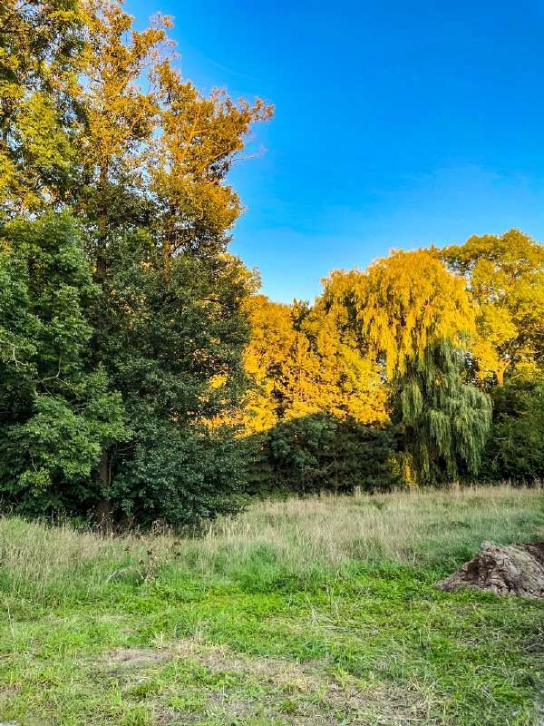 Grundstück zu verkaufen in Arnsdorf 180.000 € 1852 m²