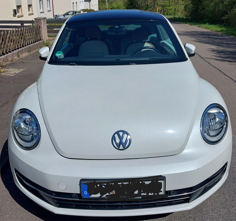 Beetle