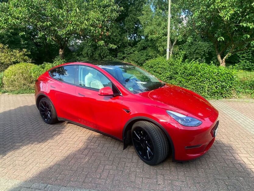 Model Y