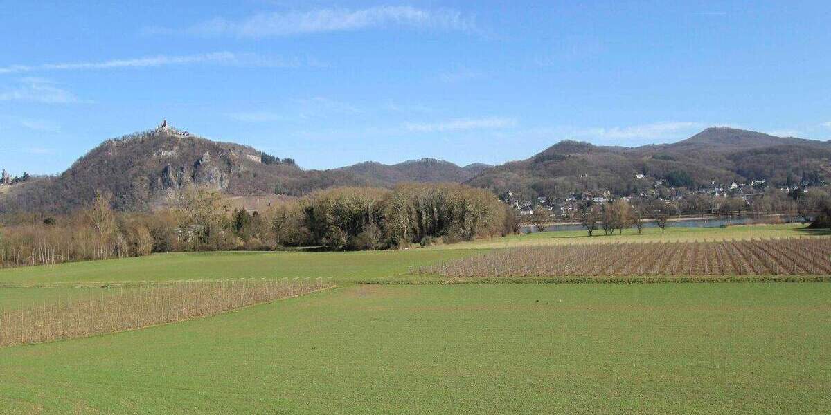 Einfamilienhaus Bonn Mehlem - 2 Zimmer, 228.000&euro; | Angebot:24992122