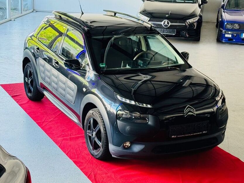 C4 Cactus