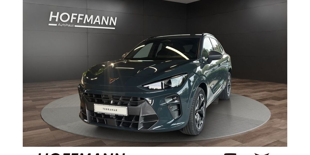 Cupra Terramar 7.500 km 43.990 &euro; Sundern 59846