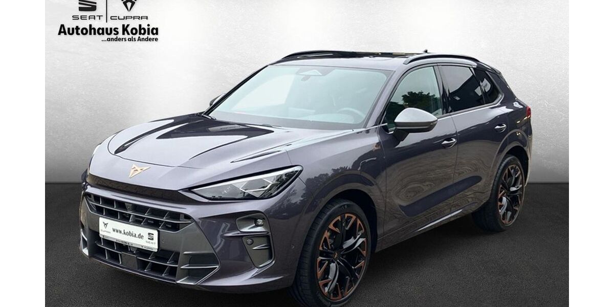 Cupra Terramar 7.502 km 42.890 € Sinsheim 74889