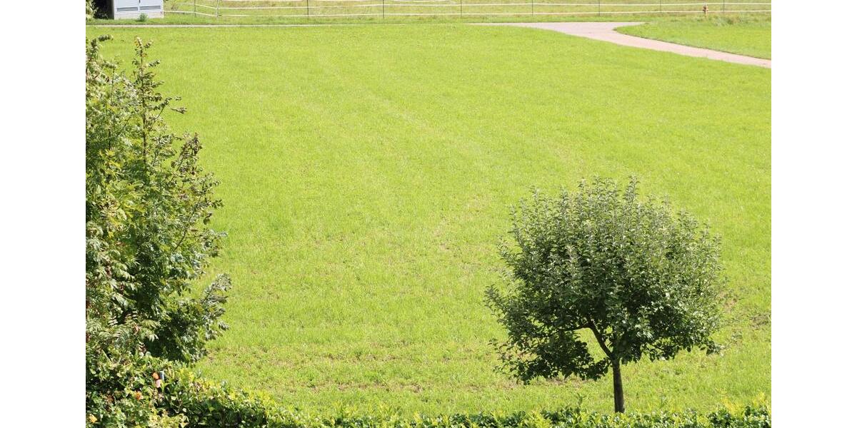 Bauernhaus, Landhaus Stühlingen - 8 Zimmer, 270 m&sup2;, 1.295.000&euro; | Angebot:26087153