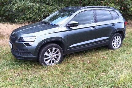 Skoda Karoq 130.800 km 19.450 € Mülsen 08132