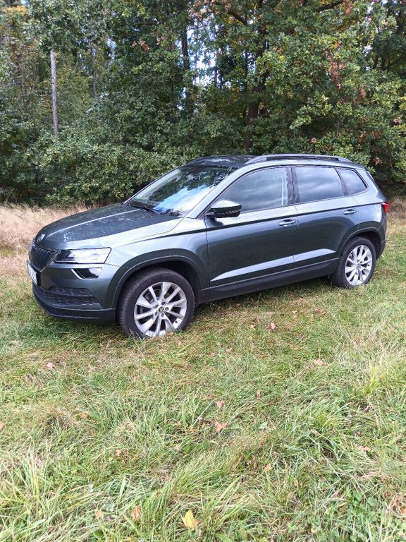 Skoda Karoq 130.800 km 19.450 € Mülsen 08132