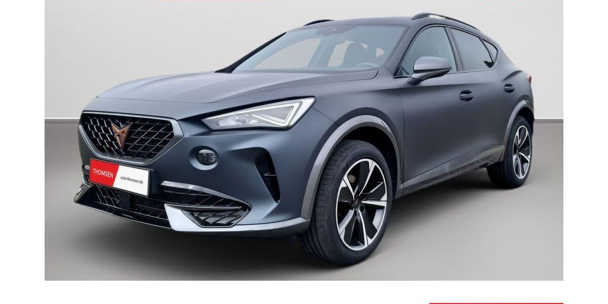 Cupra Formentor 81.100 km 22.835 &euro; Itzehoe 25524
