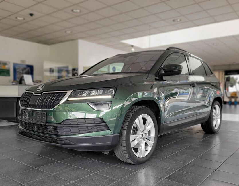 Skoda Karoq 169.167 km 21.850 € Guben 03172