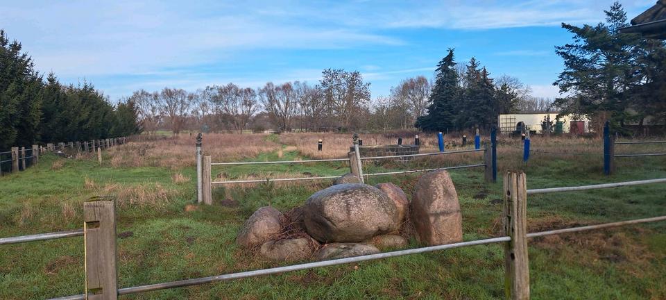 Einfamilienhaus Kloster Lehnin - 4 Zimmer, 130 m&sup2;, 350.000&euro; | Angebot:26262341