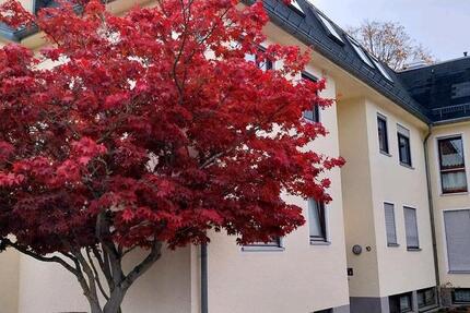 Schöne große 2 Zimmerwohnung in Münchberg zu vermieten 2 zimmer