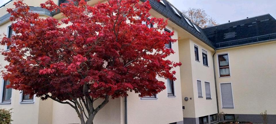 Schöne große 2 Zimmerwohnung in Münchberg zu vermieten 2 zimmer