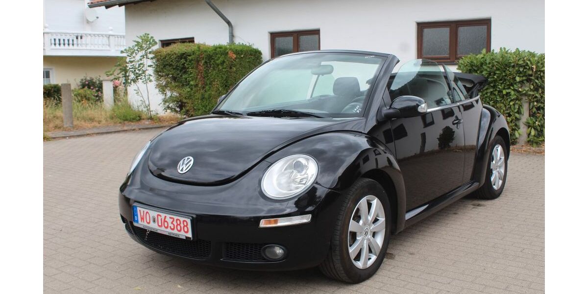 VW New Beetle 240.000 km 2.980 &euro; Worms-Pfeddersheim 67551
