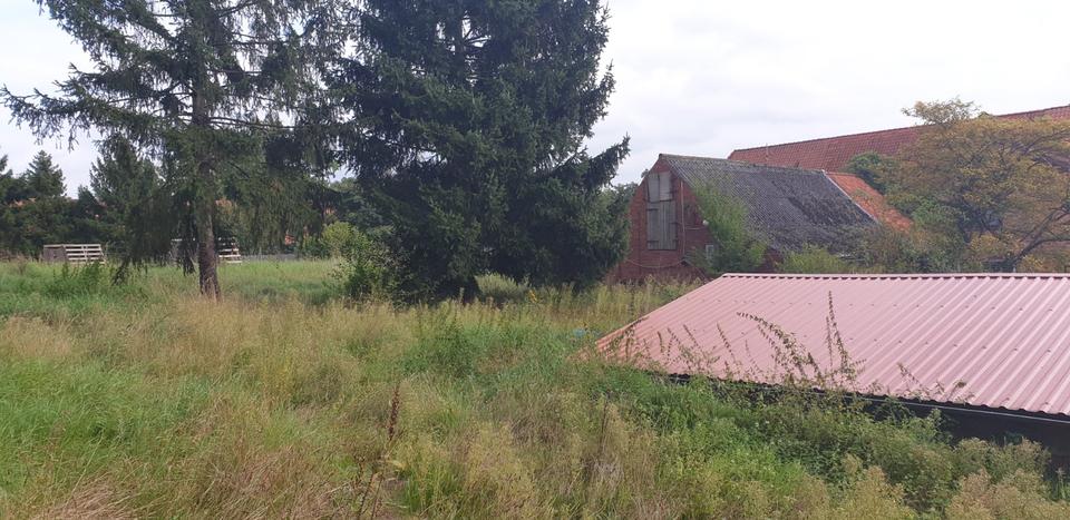 Gewerbeobjekt Kirchlinteln - 50&euro; | Angebot:24565665