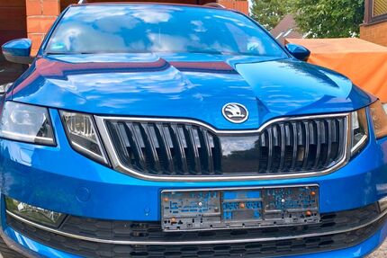 Skoda Octavia 110.000 km 18.200 &euro; Neuburg a. d. Donau 86633