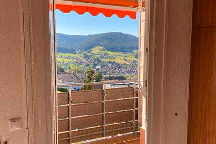 Ab sofort frei! Helle 1-Zimmer-Wohnung 1 zimmer