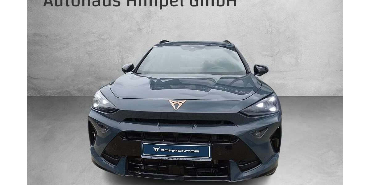 Cupra Formentor 24.500 km 30.900 &euro; Grossschirma 09603