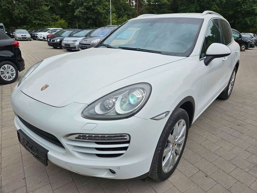 Cayenne