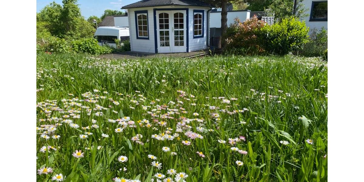 Einfamilienhaus Weisenheim am Berg - 4 Zimmer, 269 m&sup2;, 799.000&euro; | Angebot:26533884