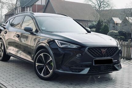 Cupra Formentor 79.821 km 19.000 &euro; Tülau 38474