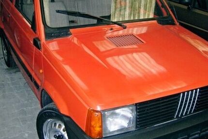 Fiat Panda 135.800 km 2.900 € Lingen - Baccum 49811