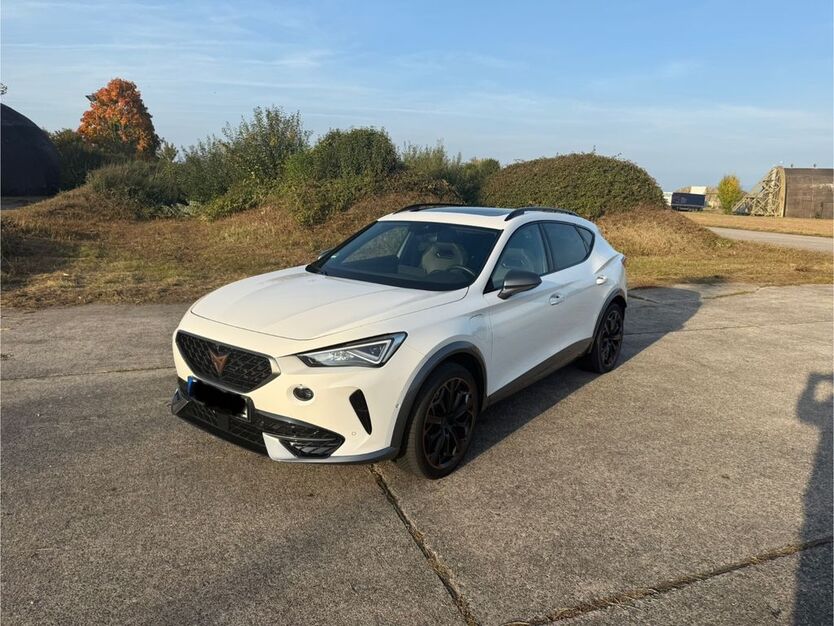 Cupra Formentor 59.000 km 25.200 € Schwanau 77963
