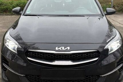 Kia XCeed 59.500 km 18.000 &euro; Murg 79730