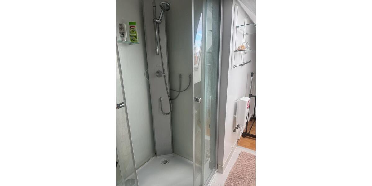 Dachgeschoßwohnung Ludwigshafen am Rhein Ludwigshafen-Hemshof - 1 Zimmer, 15 m&sup2;, 300&euro; | Angebot:24840802