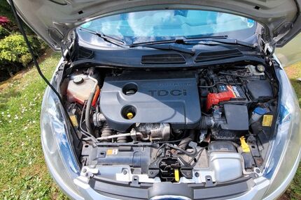 Ford Fiesta 224.173 km 2.500 &euro; Nalbach 66809
