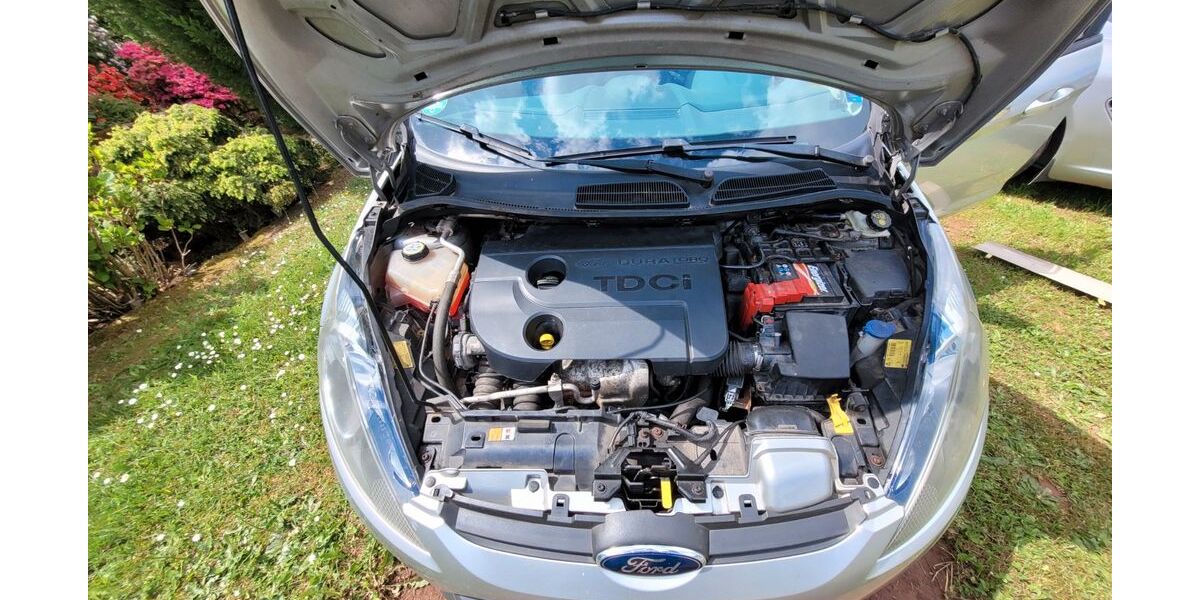 Ford Fiesta 224.173 km 2.500 &euro; Nalbach 66809