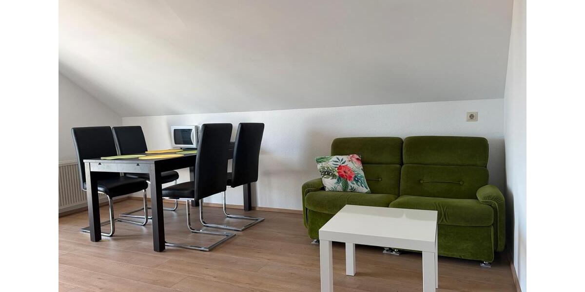 Dachgeschoßwohnung Laupheim - 1 Zimmer, 18 m&sup2;, 500&euro; | Angebot:26248977