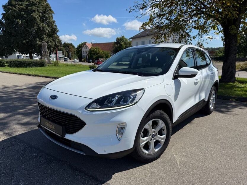 Kuga