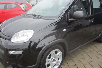 Fiat Panda 43.000 km 11.700 &euro; Erbach/ODW 64711