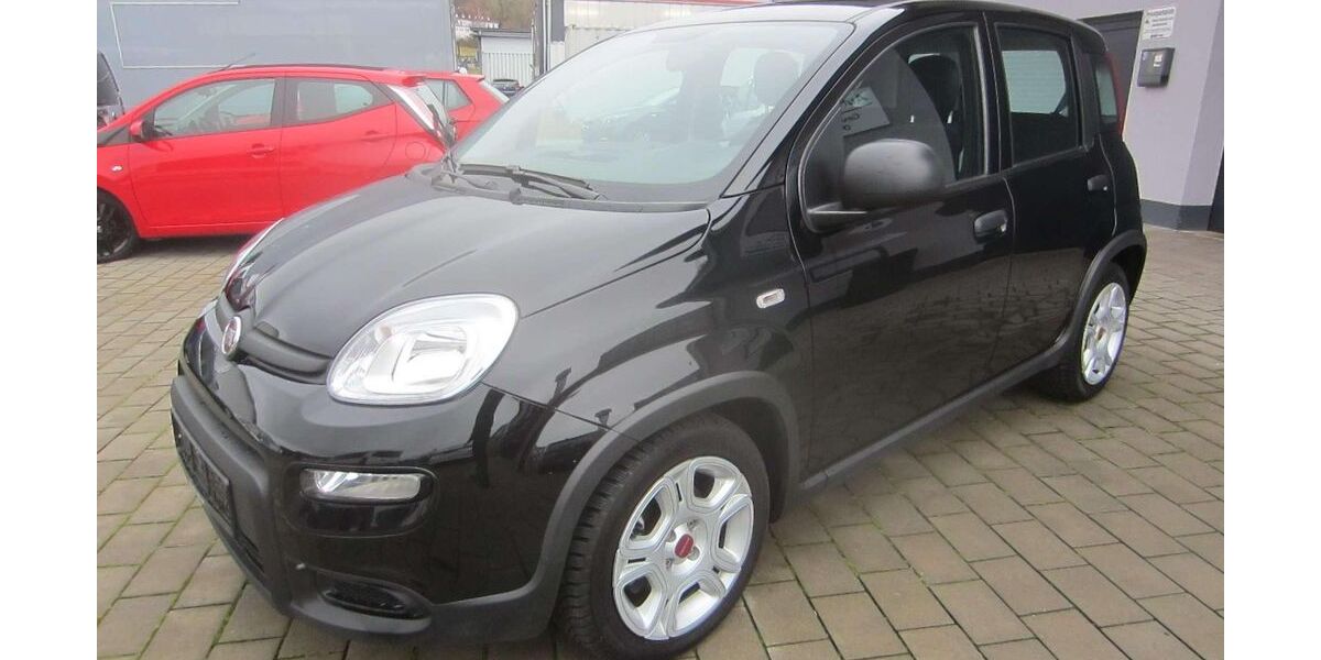 Fiat Panda 43.000 km 11.700 &euro; Erbach/ODW 64711