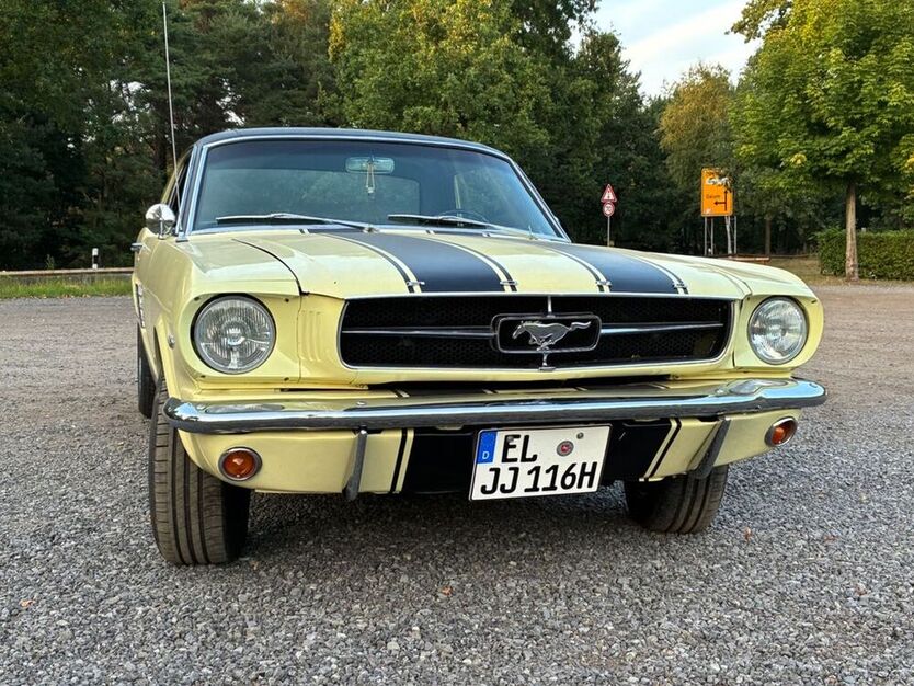 Mustang